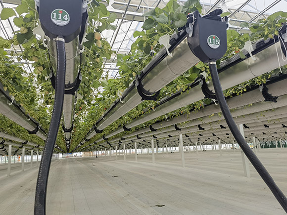 Various Planting Greenhouses