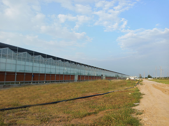 Various Planting Greenhouses