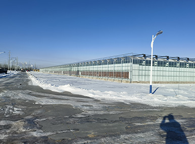 Various Planting Greenhouses