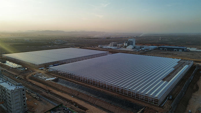 case1-1