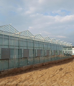Hunnan District Modern Agricultural Science and Technology Demonstration Park – Glass Greenhouse Project