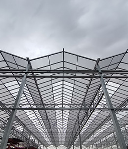 Inner Mongolia Greenhouse Construction Project