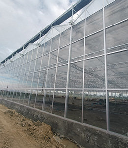 China-Israel Agricultural Science and Technology Demonstration Park, Huaiyuan County, Anhui Province