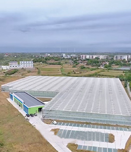 Shayang County Modern Agricultural Science and Technology Demonstration Project