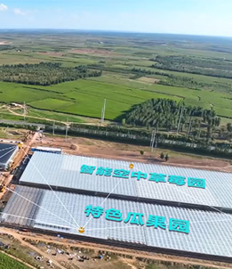 Dalad Banner Modern Digital Agriculture Technology Industrial Park Project