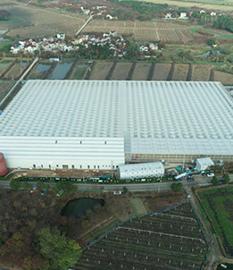 Smart Agriculture Greenhouse for Livable Villages in Shangxing Town