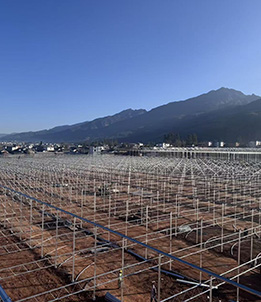 Overseas Multi-span Film Greenhouse Project