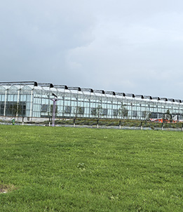 Overseas Glass Greenhouse Project