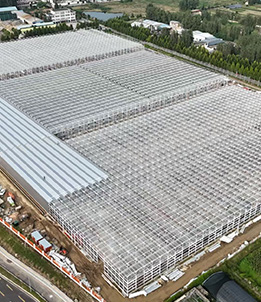 Modern Agricultural Science and Technology Industrial Center, Luozhuang District, Linyi City