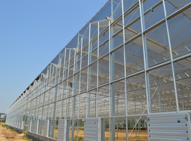 Research Glass Greenhouse