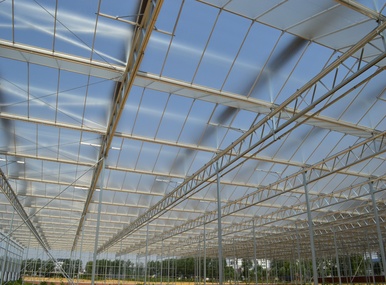 Research Glass Greenhouse